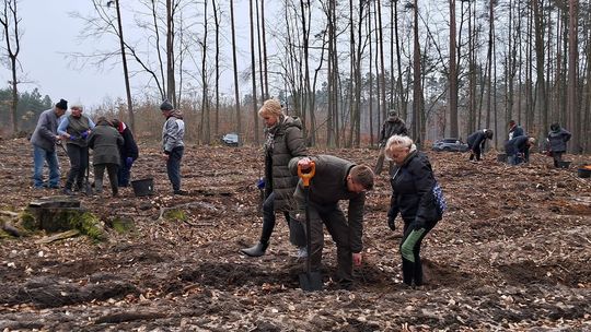Akcja sadzenia lasu: Seniorzy z Gorzowa i Kłodawy włączają się do działania