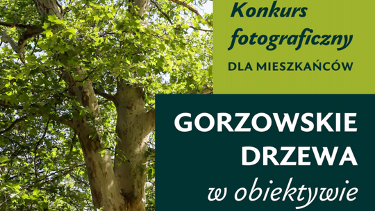 Konkurs fotograficzny dla mieszkańców Gorzowa