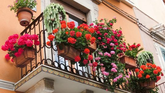 Sprawdź, jak wieszasz kwiaty na balkonie. Bo może cię to słono kosztować