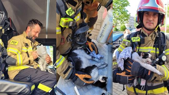 Szybka reakcja strażaków ratuje życie