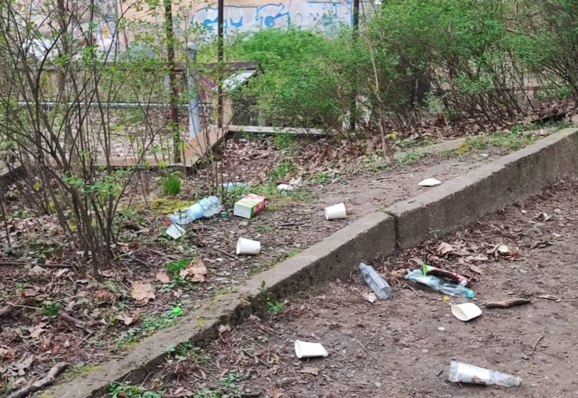 Obywatelskie sprzątanie Parku Siemieradzkiego