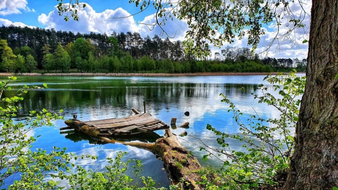 Piękne pojezierze w Ośnie Lubuskim. Wymarzone miejsce na letni wypad (ZDJĘCIA)